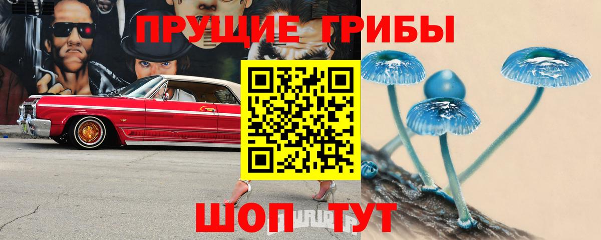 Псилоцибиновые грибы ЛСД  Вход с VPN  Галлюциногенные грибы Cubensis  Волгодонск 