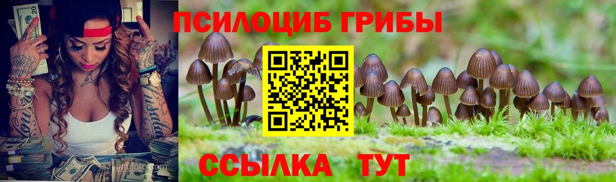 Псилоцибиновые грибы Psilocybe Волгодонск